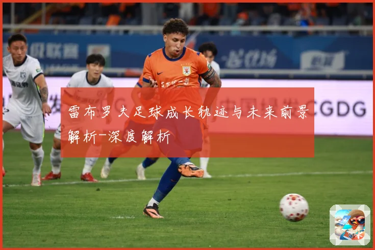 雷布罗夫足球成长轨迹与未来前景解析-深度解析